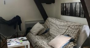 studio meublé de 25 m²  loué